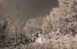 A mediados del s. XVIII, la madera de muchos bosques fue usada para construir barcos