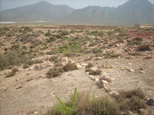 Restos arqueolgicos en la villa del Caraleo (Mazarrn)