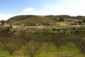 Vistas de El Escobar 