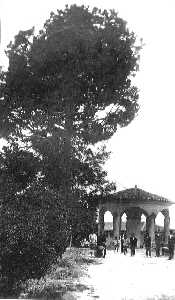 Pino de la Murta y templete, a�o 1933