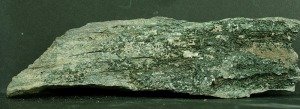 Cristales de clorita en una fractura de un esquisto. Ejemplar de la coleccin del rea de Geologa de la Universidad de Murcia [clorita]