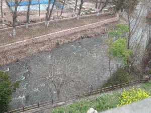 Excursi�n de los asociados de Ajucarm a Alcal� del Jucar