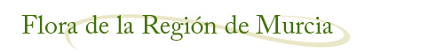 Flora de la Regin de Murcia