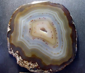 gata de Brasil [calcedonia]