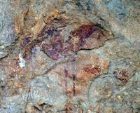 Pintura rupestre de Andragulla (Moratalla)