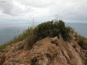 Cabo Tioso