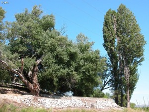 Campo de San Juan