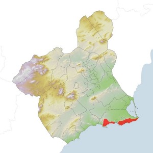 Mapa de distribucin de Orchis papilionacea en la Regin de Murcia