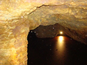 Lago Mina Agrupa Vicenta 