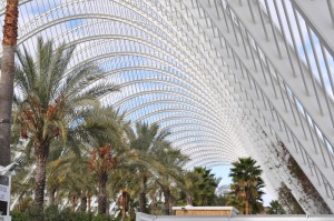 Palmeral de la Ciudad de las Ciencias