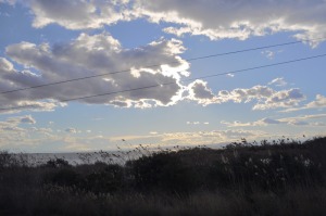 La Albufera al atardecer 
