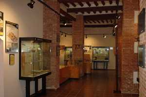 Sala Exposicin Museo Arqueolgico de guilas