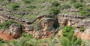 Panormica de un yacimiento de ammonites del Jursico superior del Noroeste 