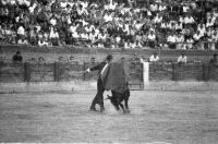 Fotos Lpez