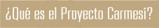 Qu es el Proyecto Carmes?