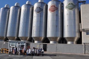 Identificacion ajucarmera 