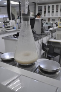 laboratorio cervecero 