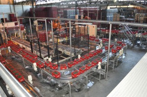 falta poco para catarla 