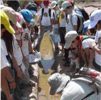 actividades gratuitas de educacin ambiental en los espacios naturales