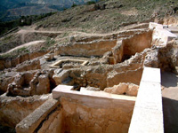 Siyasa