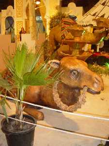 Camellos en las K�bilas - Moros y Cristianos - Feria de Septiembre de Murcia 2004