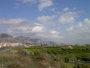 Paisaje Santomera