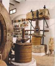 Museo Juan Carceln