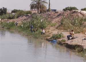  Imagen de un concurso de pesca en el ro Segura 