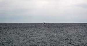 El mar de Puerto de Mazarrn 