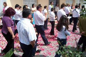 Banda de msica sobre ptalos de rosas 