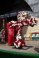 Cruz de Mayo en Ulea 