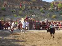 Lance del juego de futbol vaca 