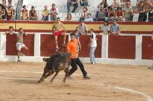  Algunos se atreven a arrimarse 
