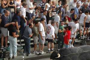  Desde la barrera se ve mejor [Calasparra_Feria y Fiestas de septiembre]