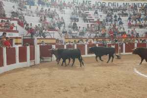  El encierro ha acabado 