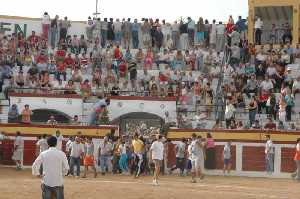  La entrada a la plaza es peligrosa [Calasparra_Feria y Fiestas de septiembre]