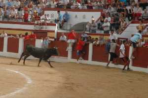  La proteccin de la barrera 