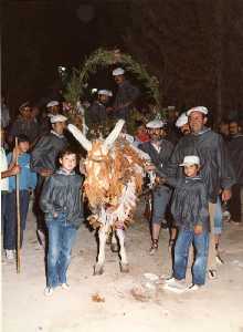 El popular Carro [Aledo_Fiestas Patronales]