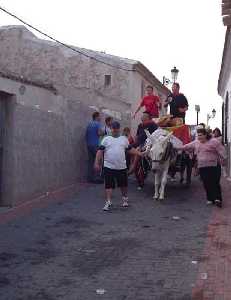 Fiesta del Carro [Aledo_Fiestas Patronales]