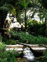 Estanque del Jardn 