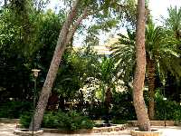 Jardn 