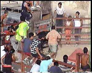 Las vaquillas de las fiestas 