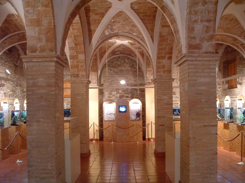  Sala de Exposiciones [Molina de Segura_Casa Crcel]