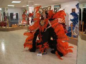 Espectacular traje de carnaval [guilas_Museo Carnaval]