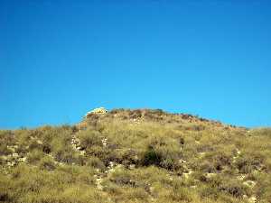 Cima del Cerro 