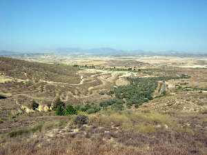 Valle [Torre de Chichar de Aledo]