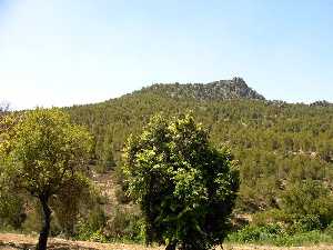 Alrededores
