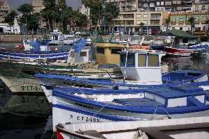 aguilas 08