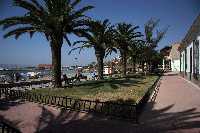los alcazares 11