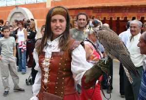 Demostracin de cetrera 